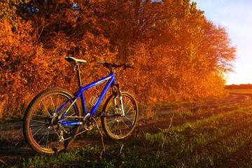 Fototapeta premium Mountain bicycle at sunny evening