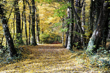 Obraz premium Herbst an einem See mit Fischerhütten