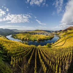 Mosel bei Trittenheim © Hristo G. Siderov
