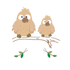 Obraz premium Two nestling owls