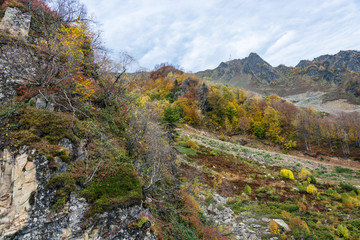 Mountain autumn landscape.