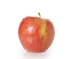  apple on white background