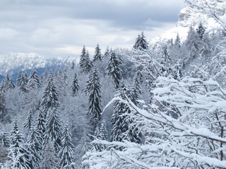 Fototapeta premium Snow and mountain