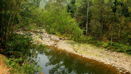 romatischer Fluss durch  Dschungel von West-Java