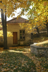 Bulgarian village 21