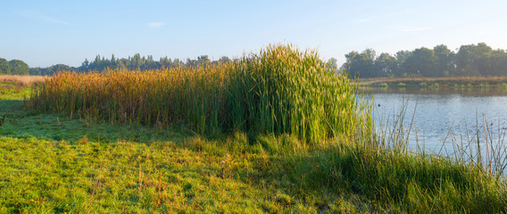Shore of a lake at sunrise in autumn