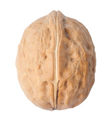 Single walnut isolated on white