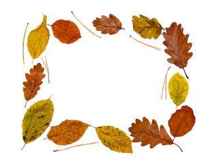 Autumn frame made of colorful leaves isolated on white background