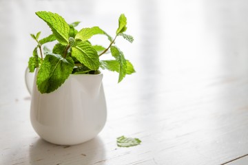 Mint leaves in white jar © anaumenko