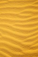 the brown sand dune