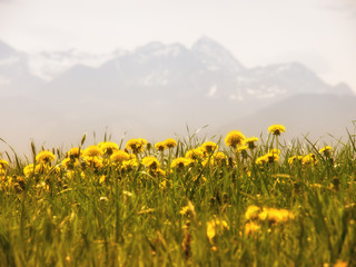 mountain wendelstein (36)