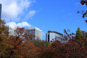 大阪城公園