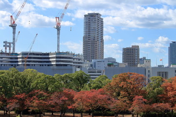 Fototapeta premium 大阪城公園