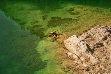 clear water in a lake