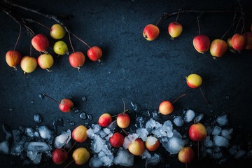 Apples in the snow on the dark background