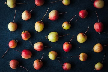 Small apples on the dark background close-up