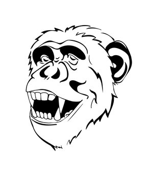 head cheerful chimpanzee