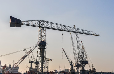 Fototapeta premium sea cargo port large cranes