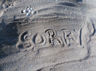 Sorry, Strand, muscheln © kaddl86