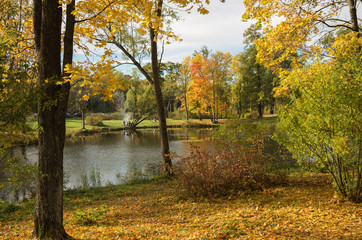 Autumn landscape  in the Alexander Park, Tsarskoye Selo, Saint-Petersburg, Russia
.
