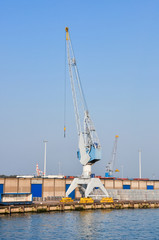 Fototapeta premium sea cargo port large cranes