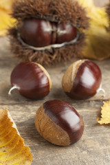 Whole sweet chestnuts