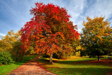 Naklejka premium Autumn in the Park