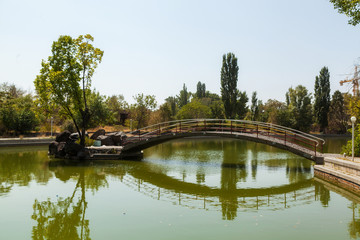 Fototapeta na wymiar The bridge on the lake in city park