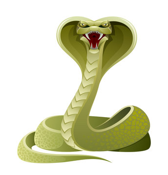 Angry snake