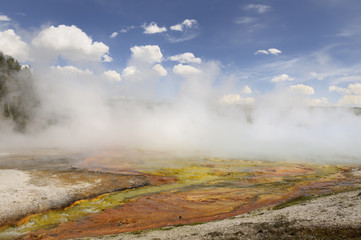 Hot Spring at Yellowstone