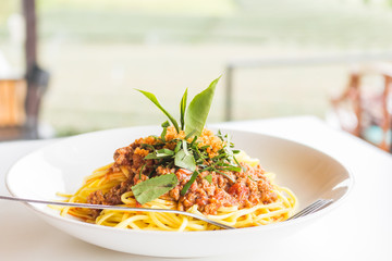 Spaghetti sauce and pork on blur nature background