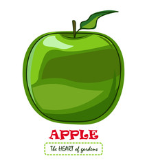 apple vector drawing