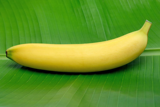 Banana su foglia di banano