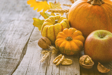 Thanksgiving decorations on rustic background