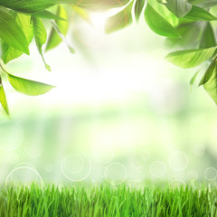 Fototapeta na wymiar Spring or summer season abstract nature background with green grass and leaves