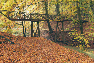 Wooden bridge in autumn forest.
