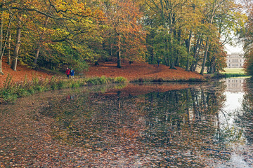 Pond in park surrounded by autumn trees. Elswout estate. The Net
