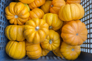 yellow pumpkin in basket
