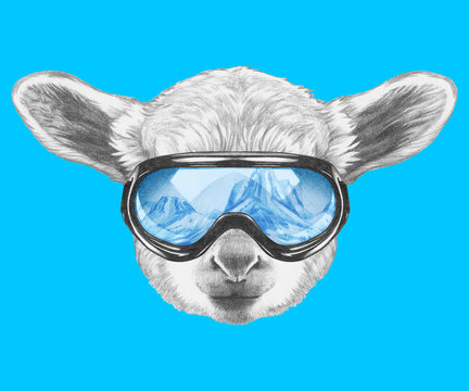 Portrait of Lamb with ski goggles. Hand drawn illustration.