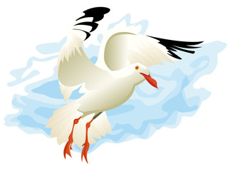 Mouette volant contre le vent