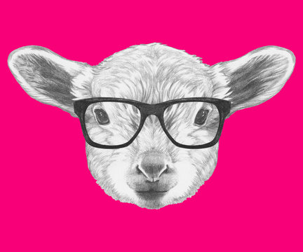 Portrait of Lamb with glasses. Hand drawn illustration. 