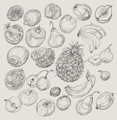 Set of fruits. Freehand drawing.