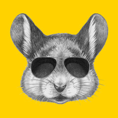 Portrait of Mouse with sunglasses. Hand drawn illustration.