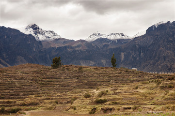 Paisaje peruano