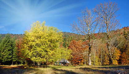 Beautiful landscape with yellow trees and a hut on the lawn and