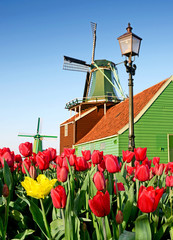 Beautiful landscape with a lantern, tulips and wind Mill in the