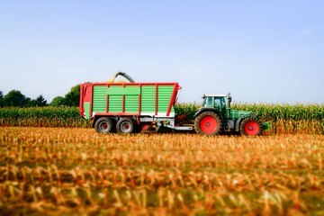Fototapeta premium Traktor mit Erntewagen bei der Maisernte