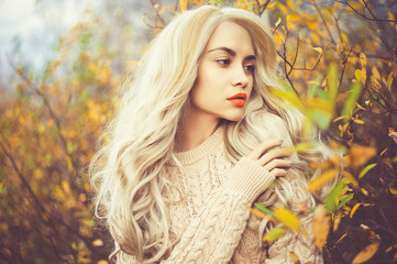 Beautiful lady surrounded autumn leaves