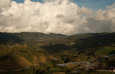 Malaysia,cameron Highlands.Horizontal View.