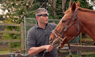 Veteran horse having dental work done 